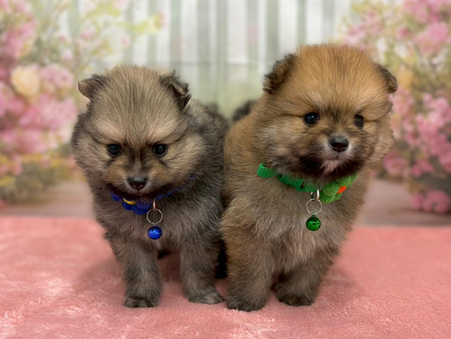 赤ちゃん写真2-3