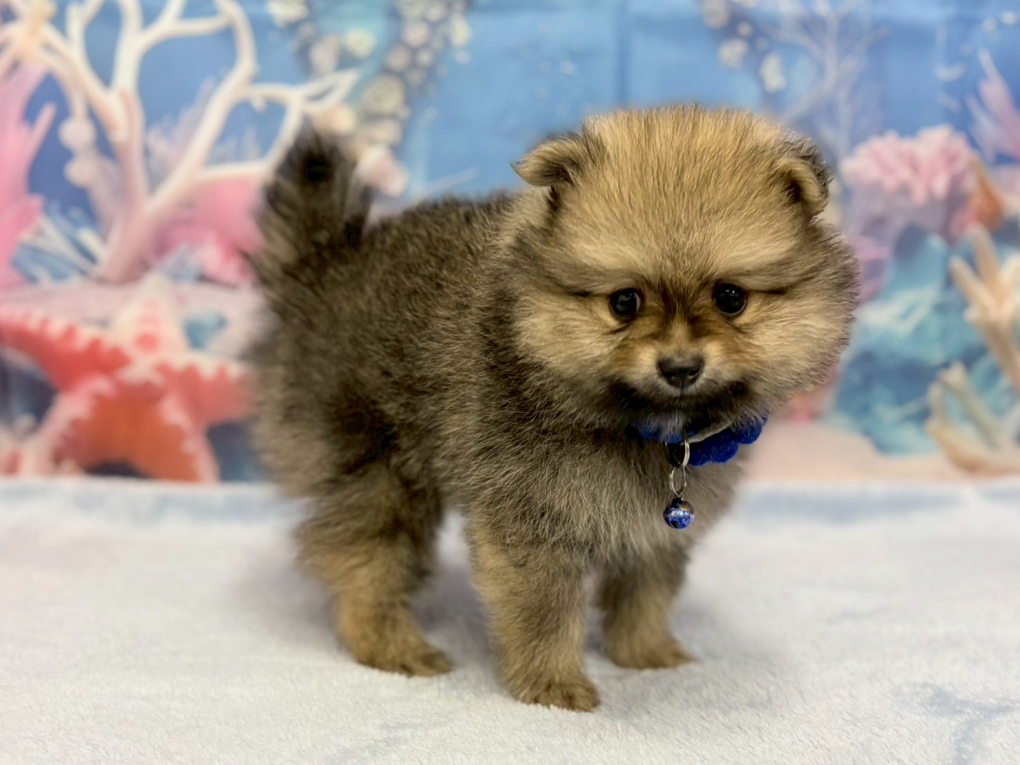 赤ちゃん写真3-2