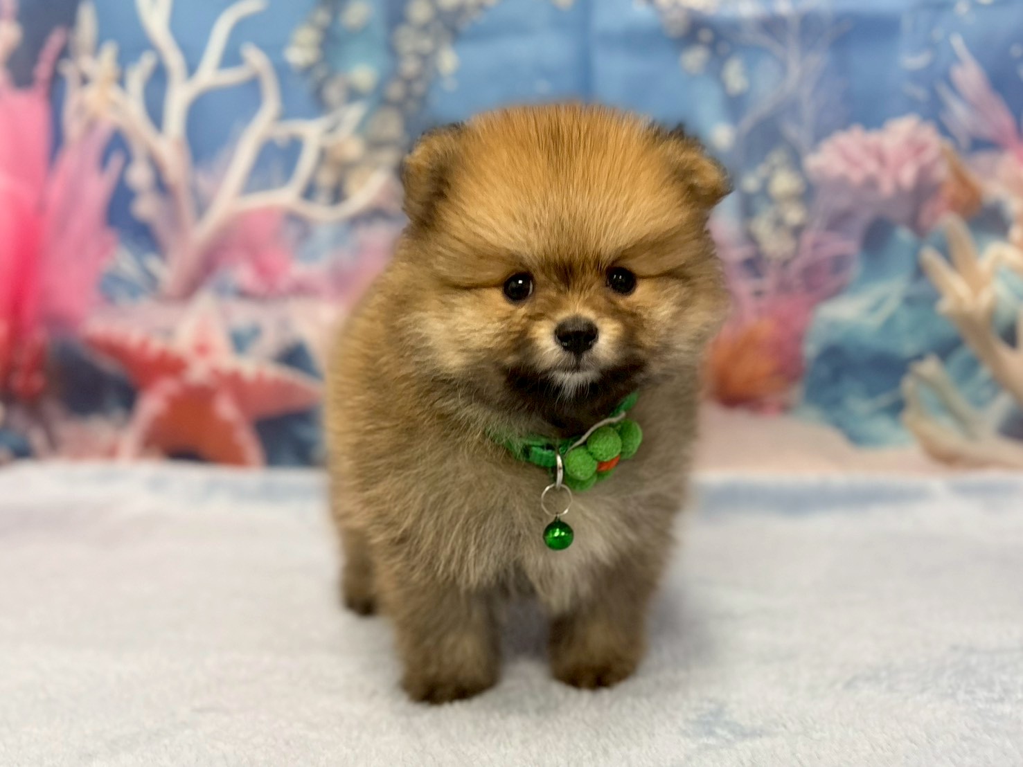 赤ちゃん写真3-1