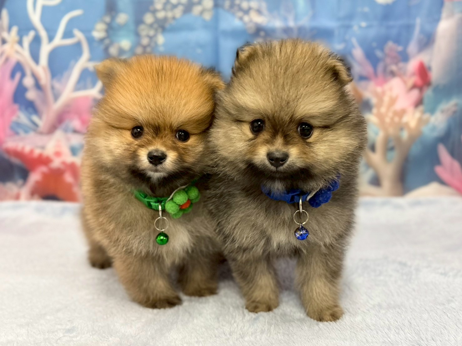 赤ちゃん写真3-3