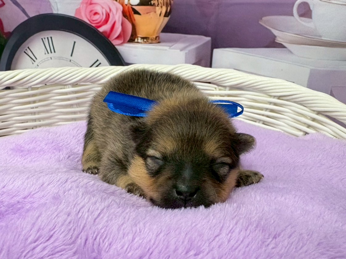 赤ちゃん写真1-1