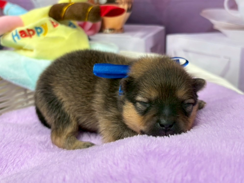 赤ちゃん写真1-2