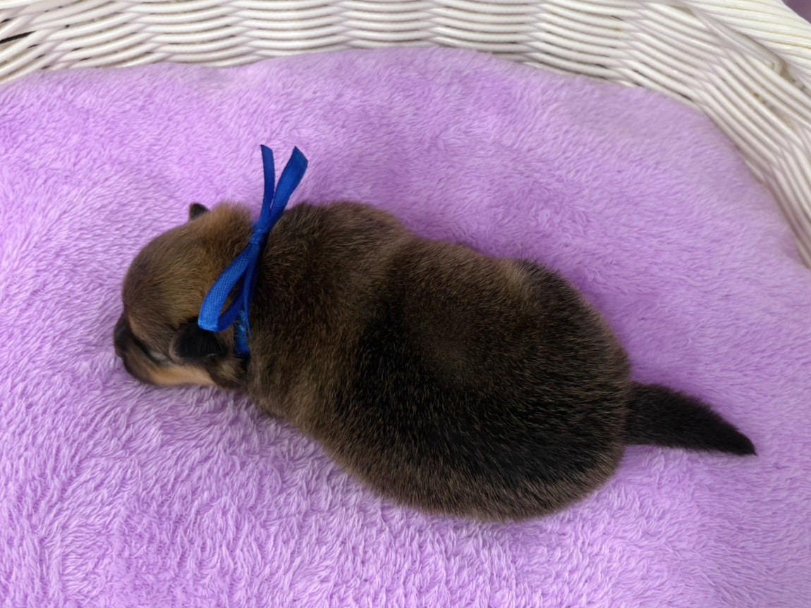 赤ちゃん写真1-3