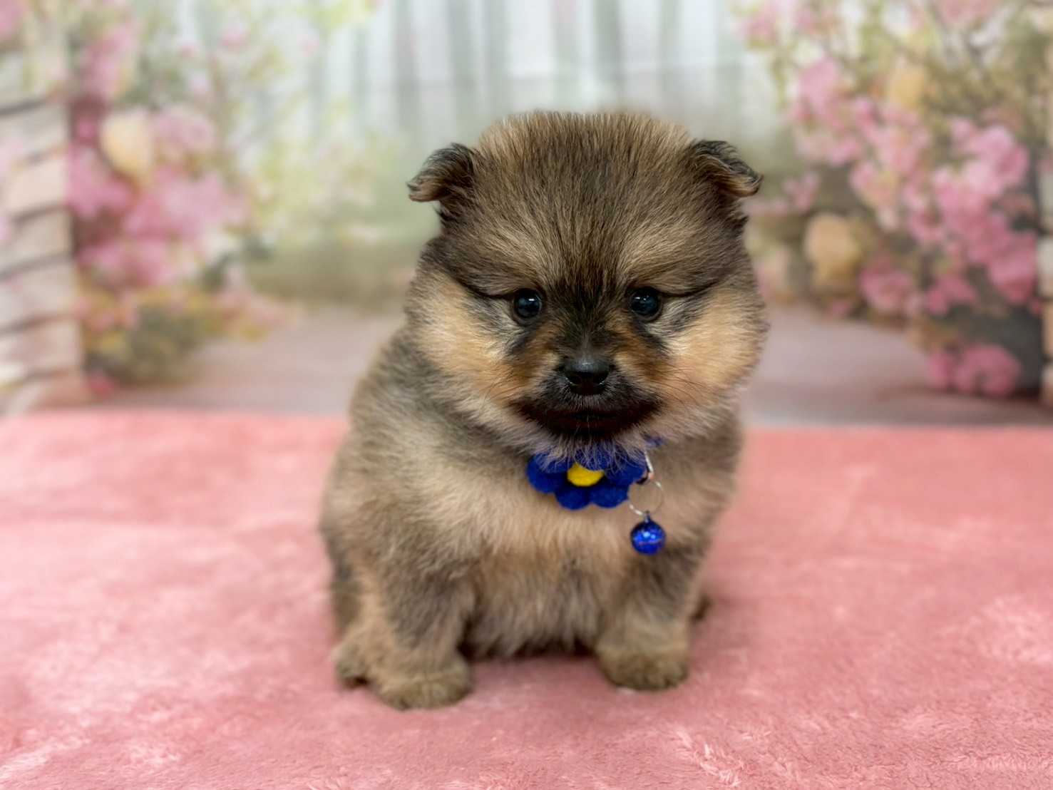 赤ちゃん写真2-1