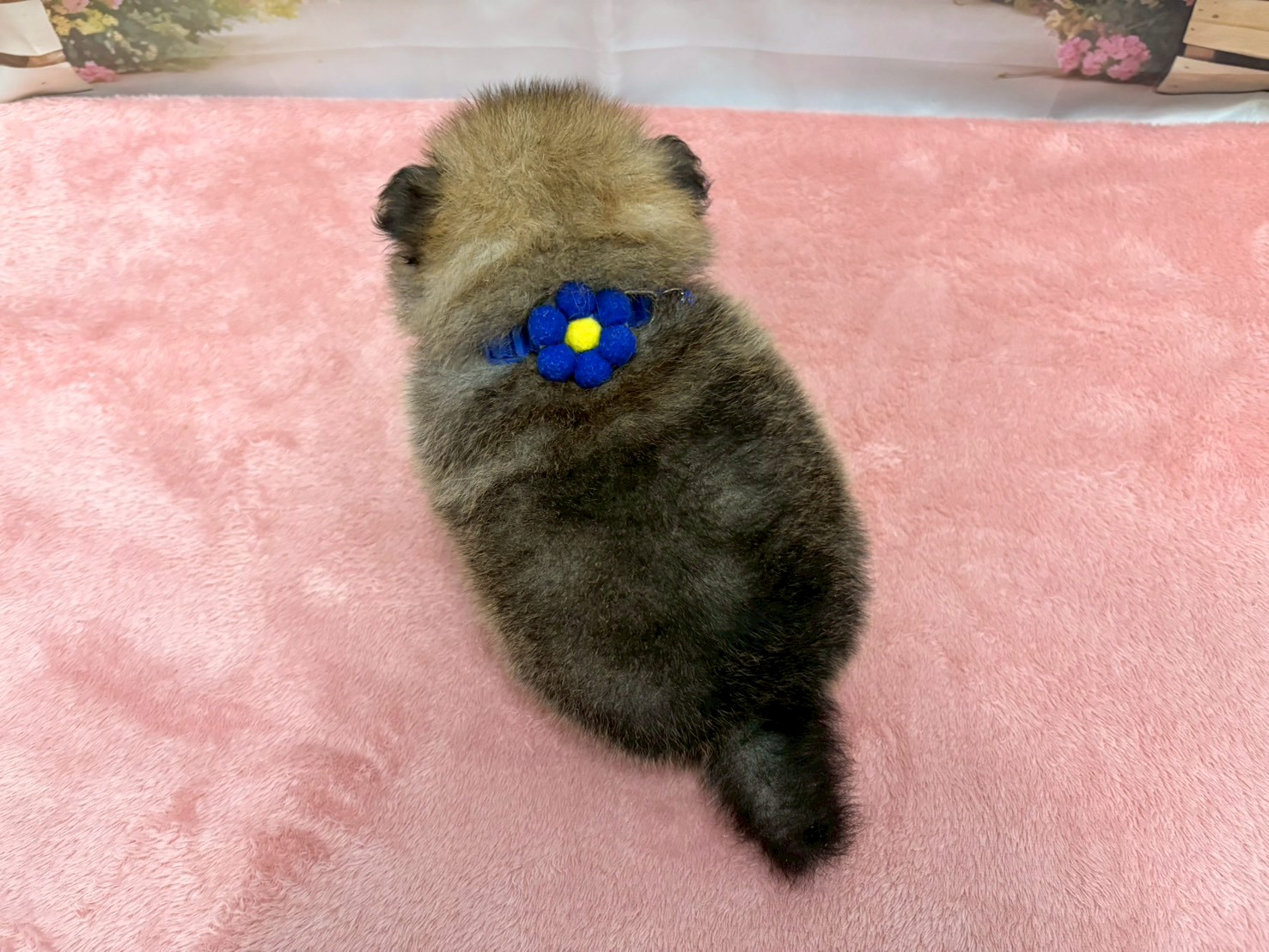 赤ちゃん写真2-3