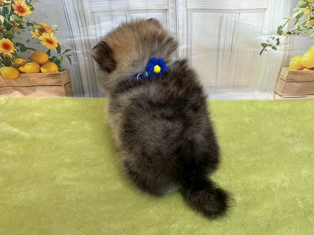 赤ちゃん写真3-3