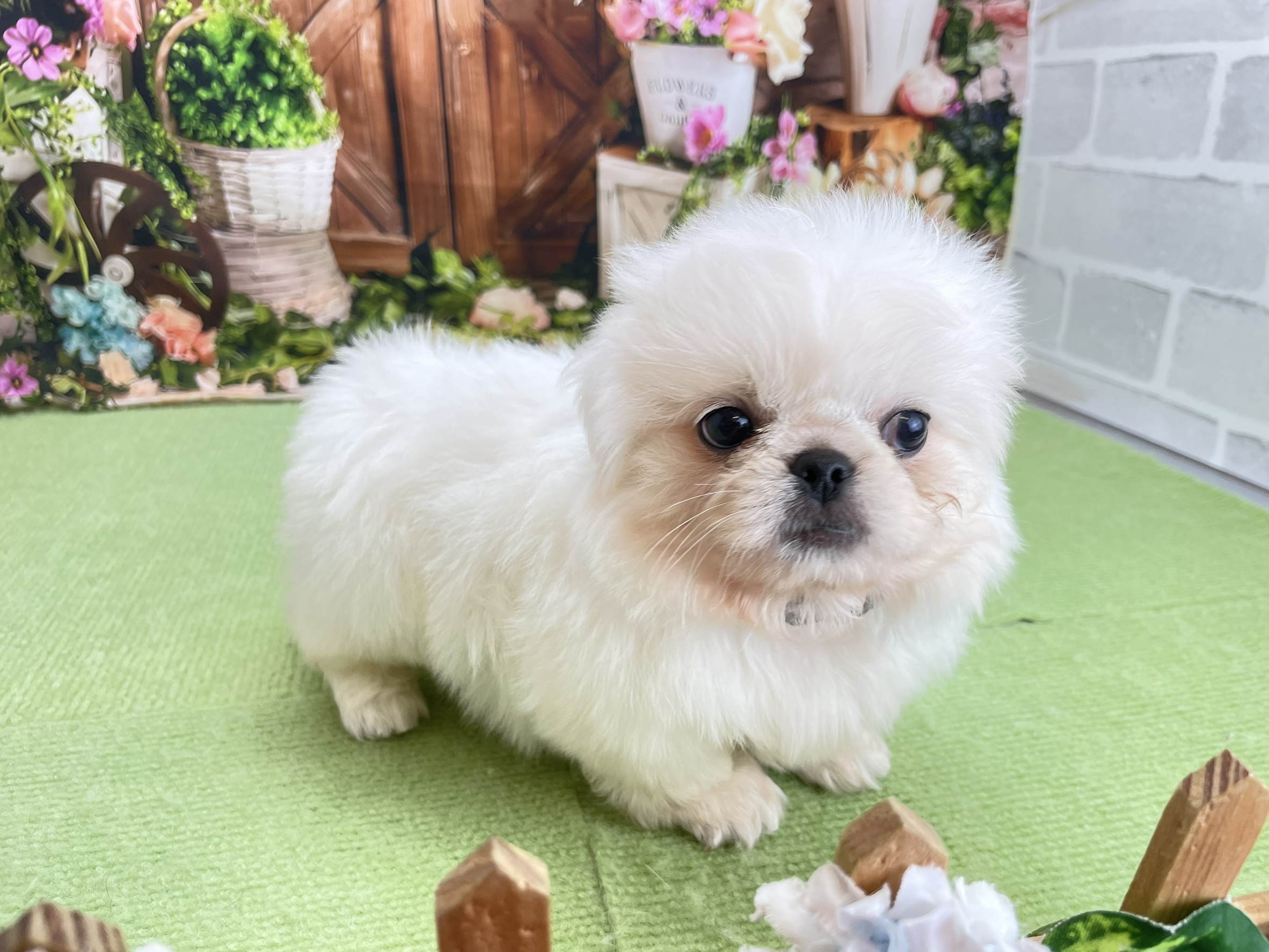 赤ちゃん写真3-1