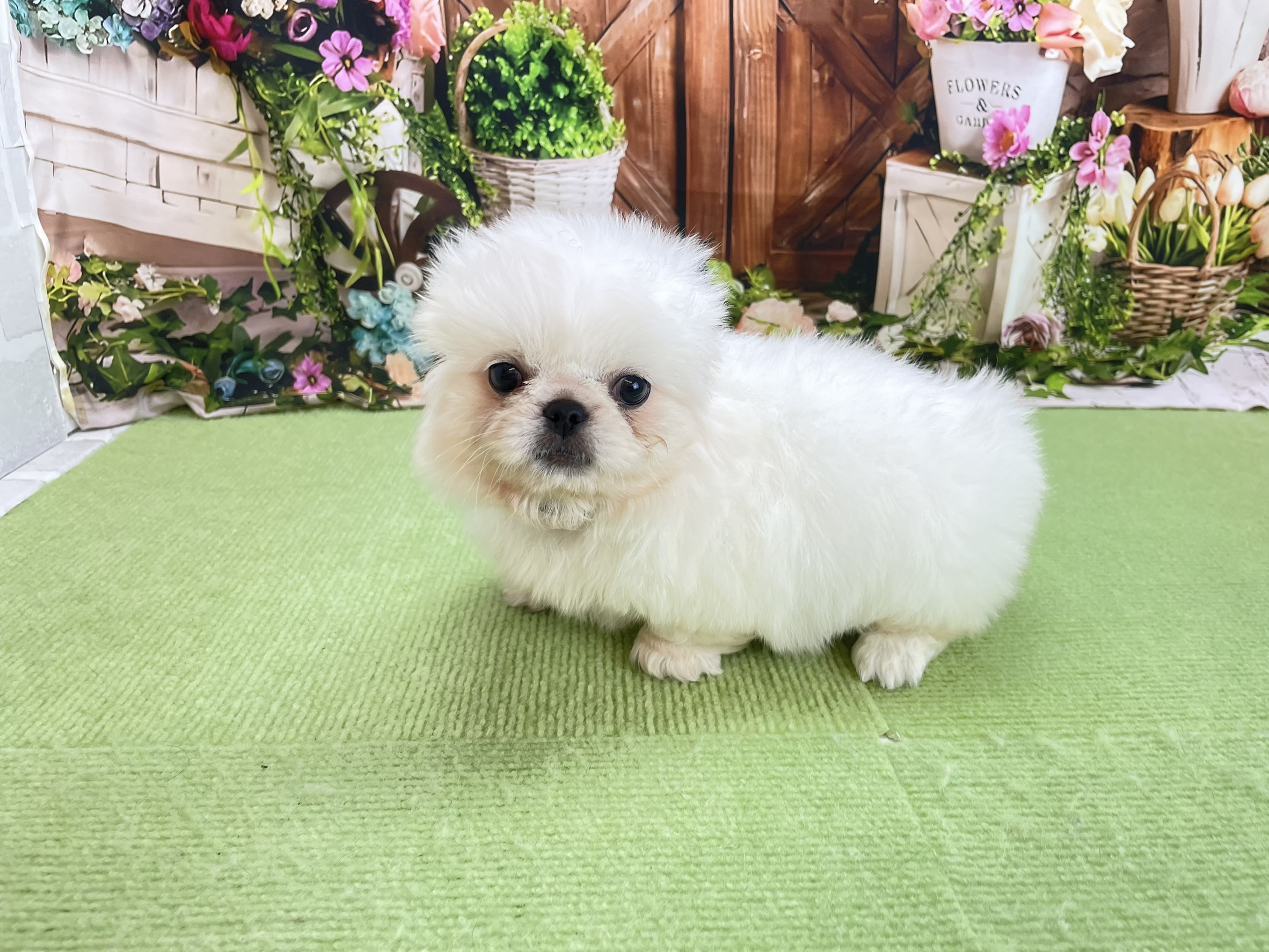 赤ちゃん写真3-2
