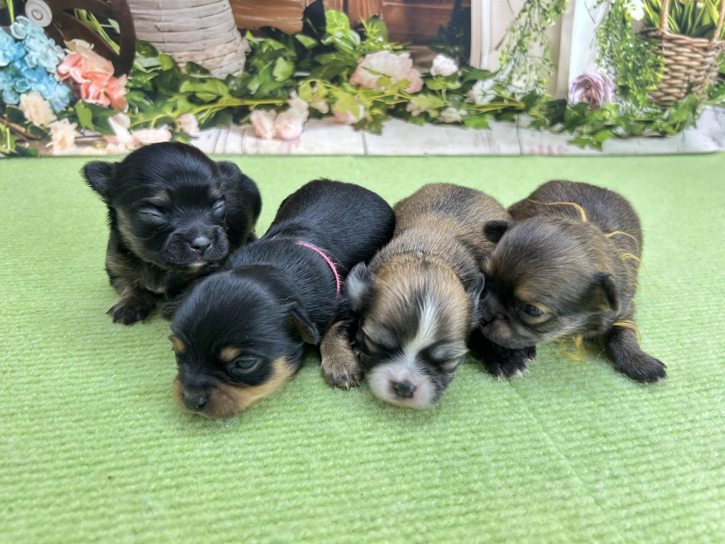 赤ちゃん写真1-3