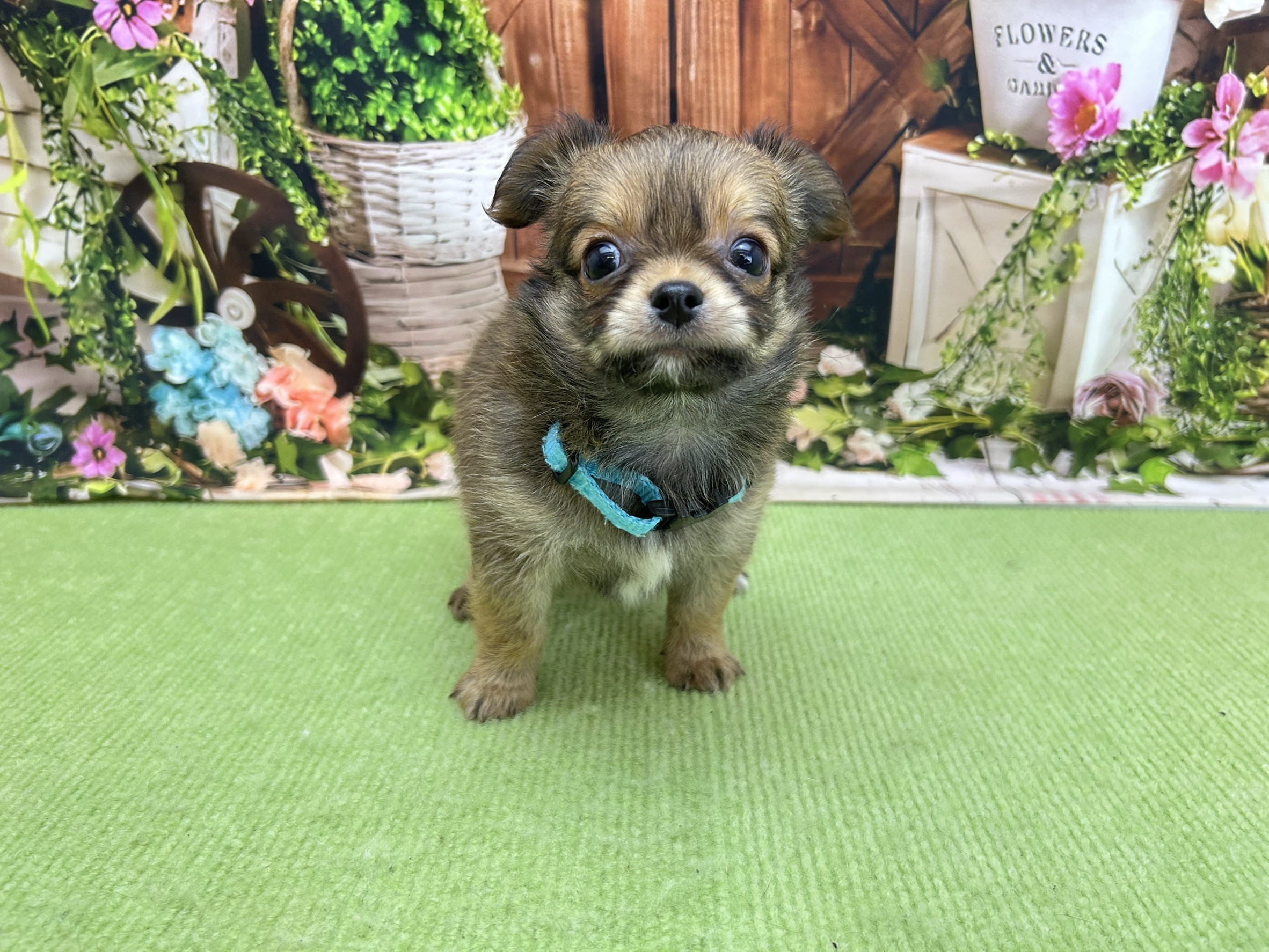 赤ちゃん写真2-1