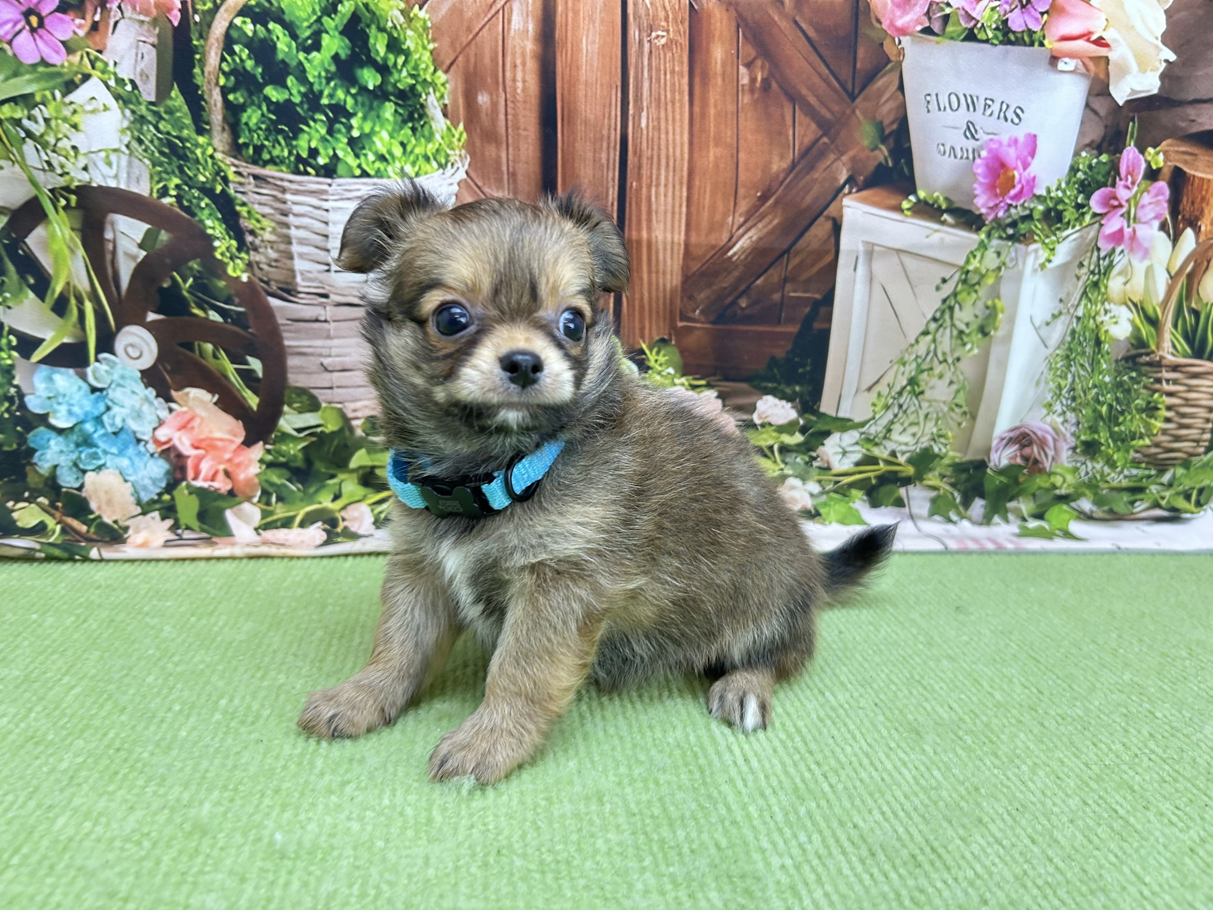 赤ちゃん写真2-2