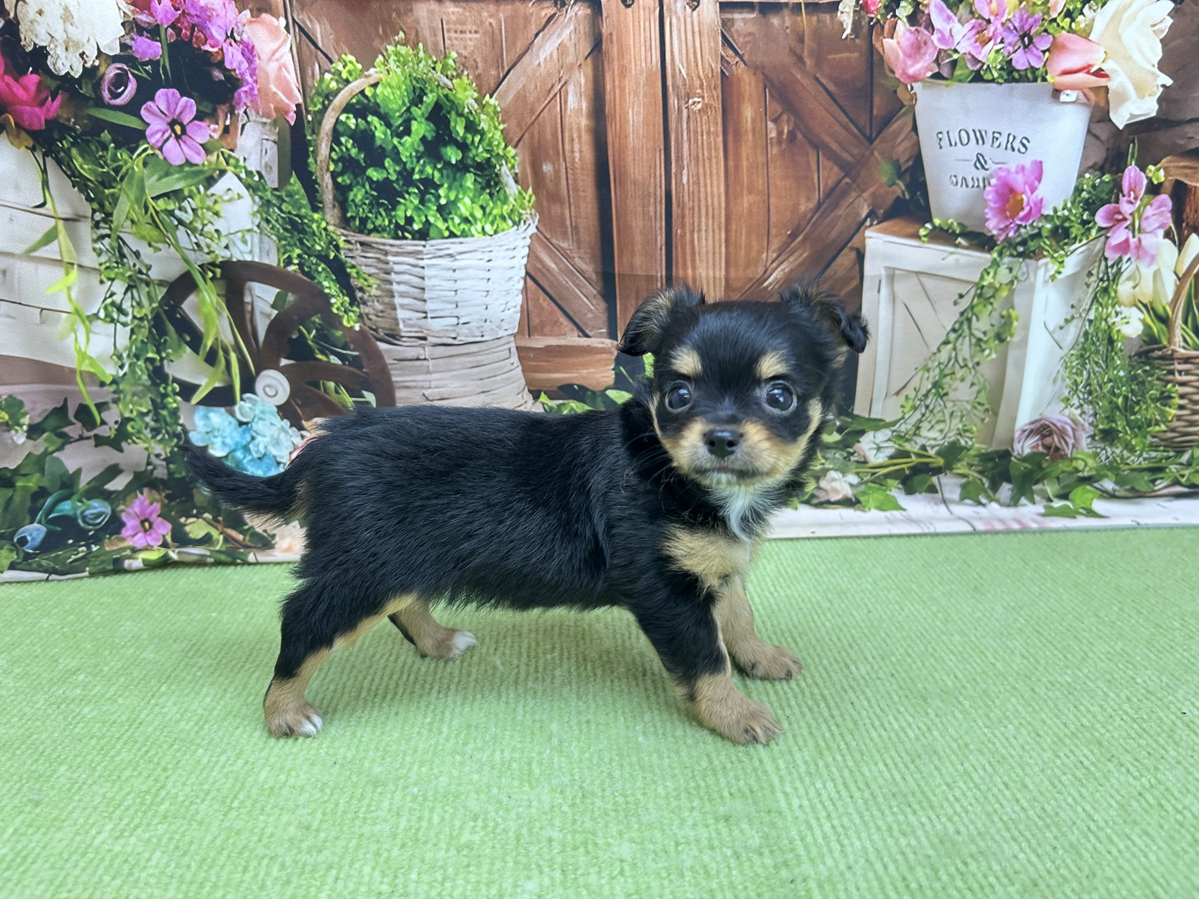 赤ちゃん写真2-2