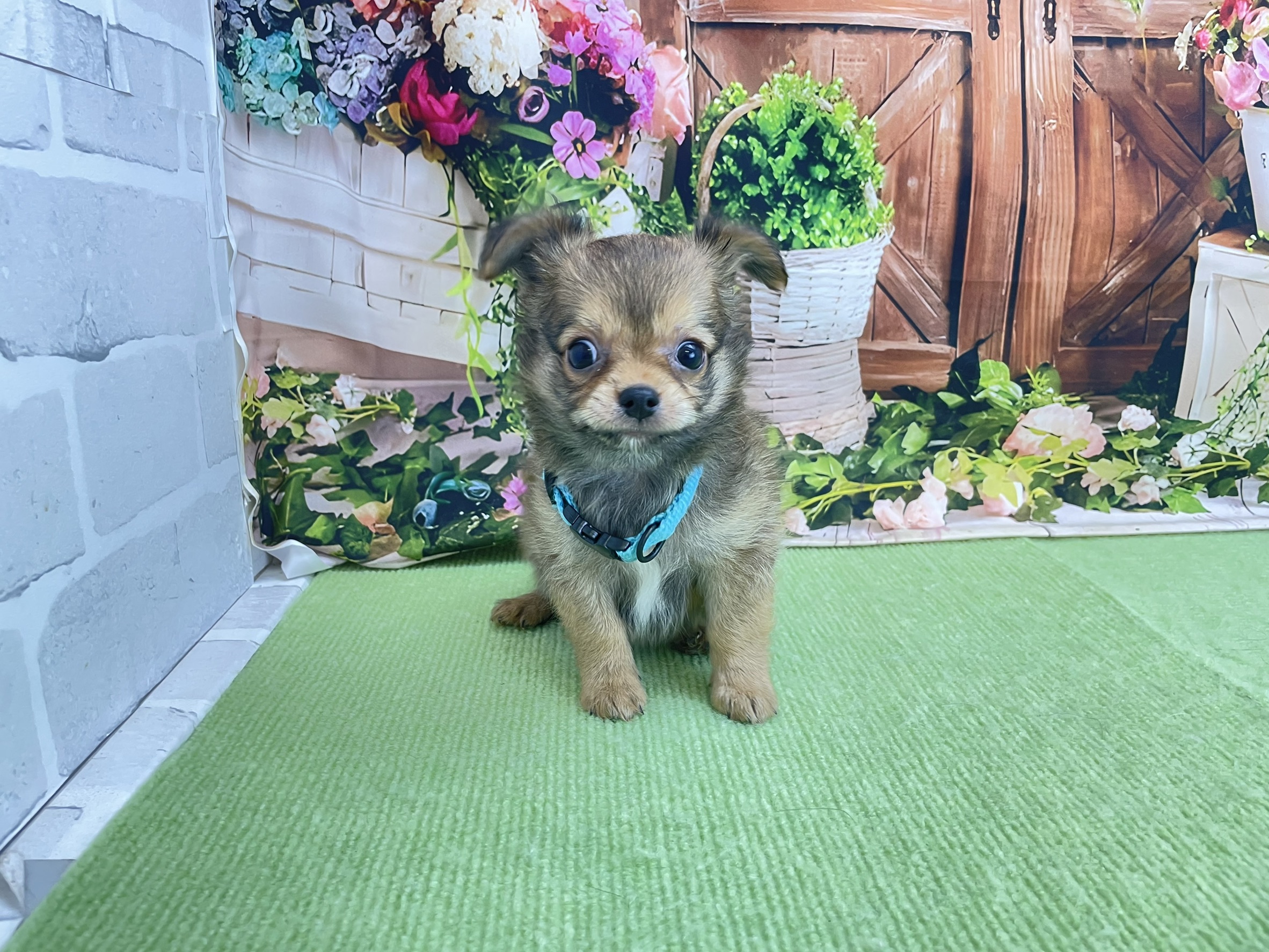 赤ちゃん写真3-1