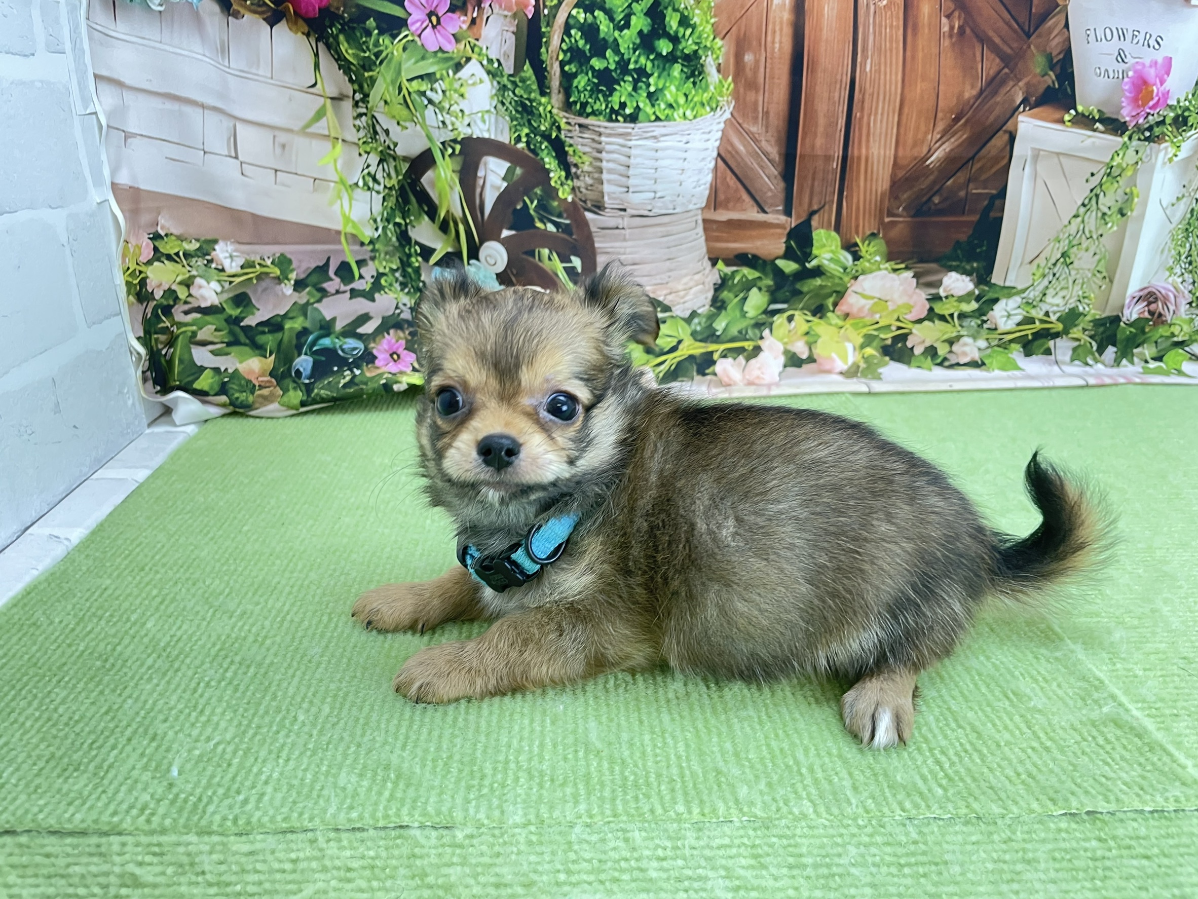 赤ちゃん写真3-2