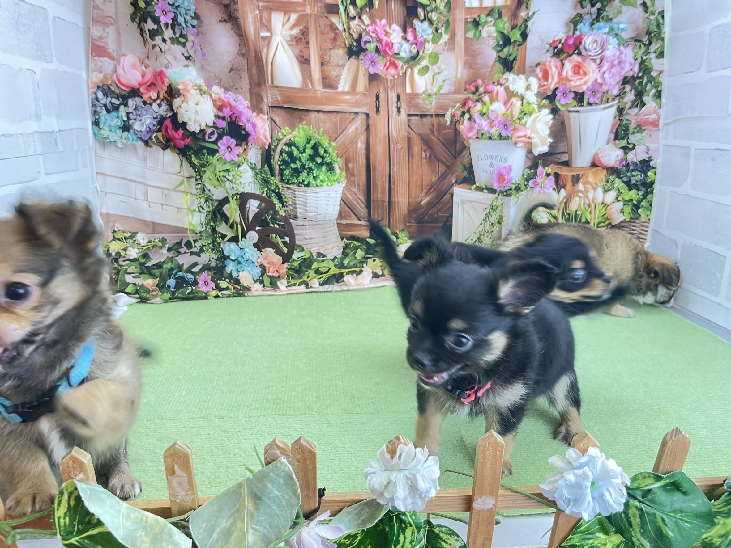 赤ちゃん写真3-3