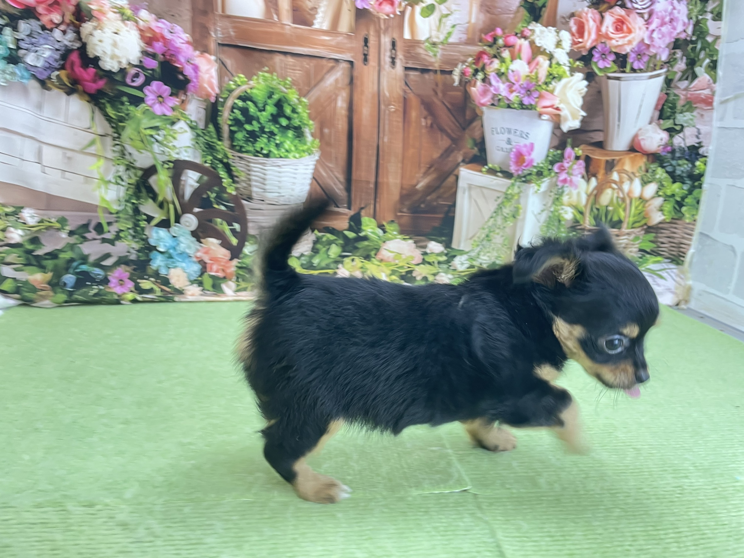 赤ちゃん写真3-2