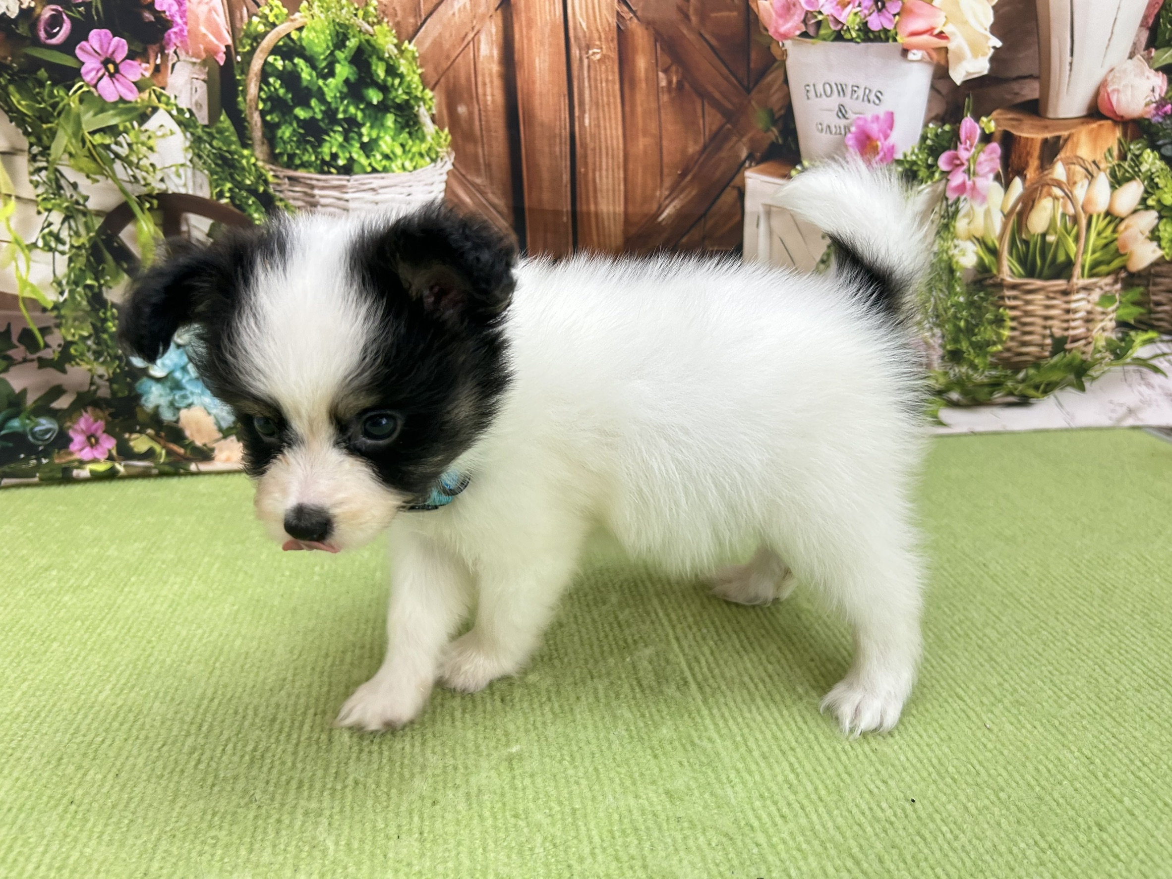 赤ちゃん写真2-2
