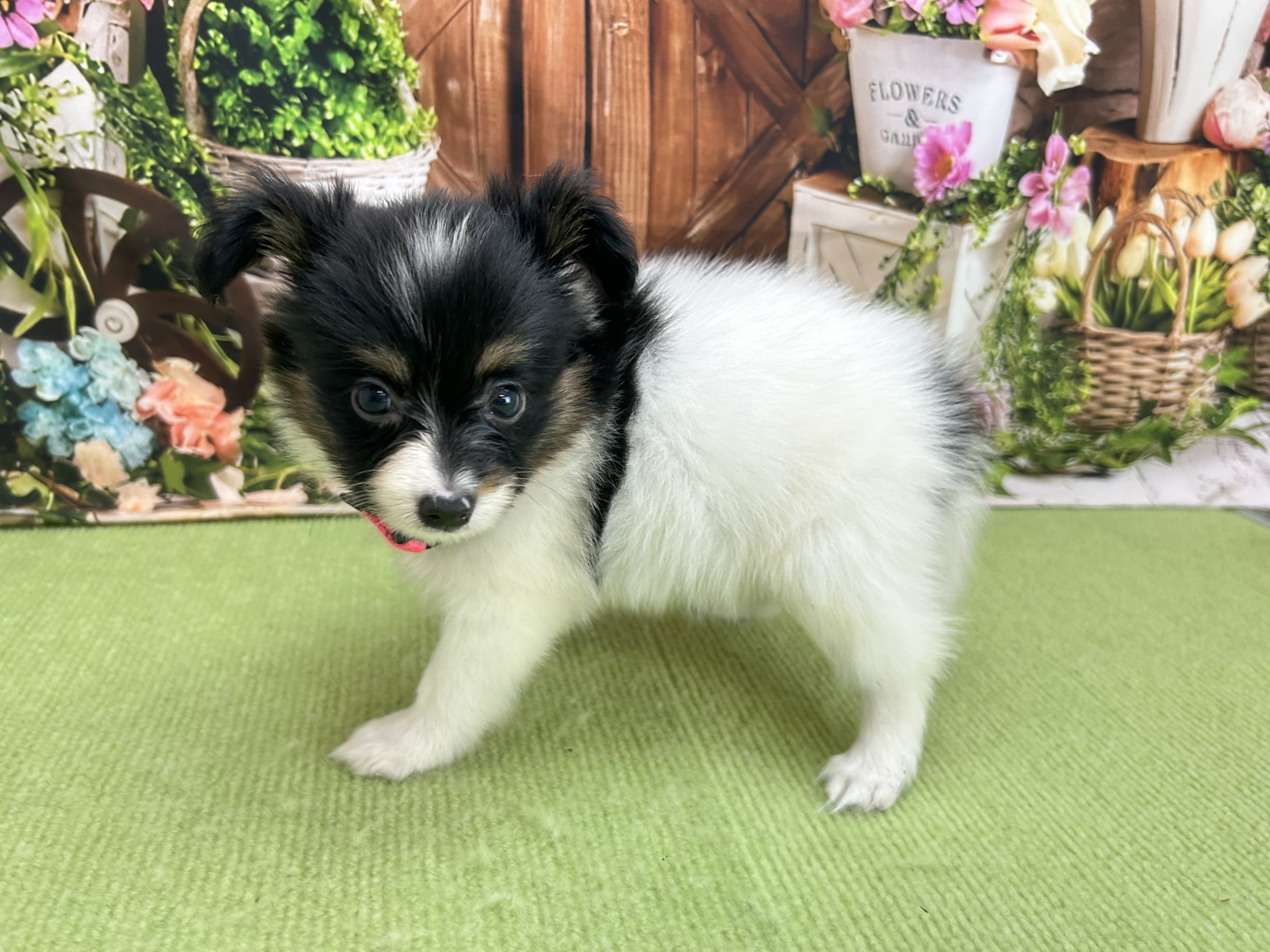 赤ちゃん写真2-2