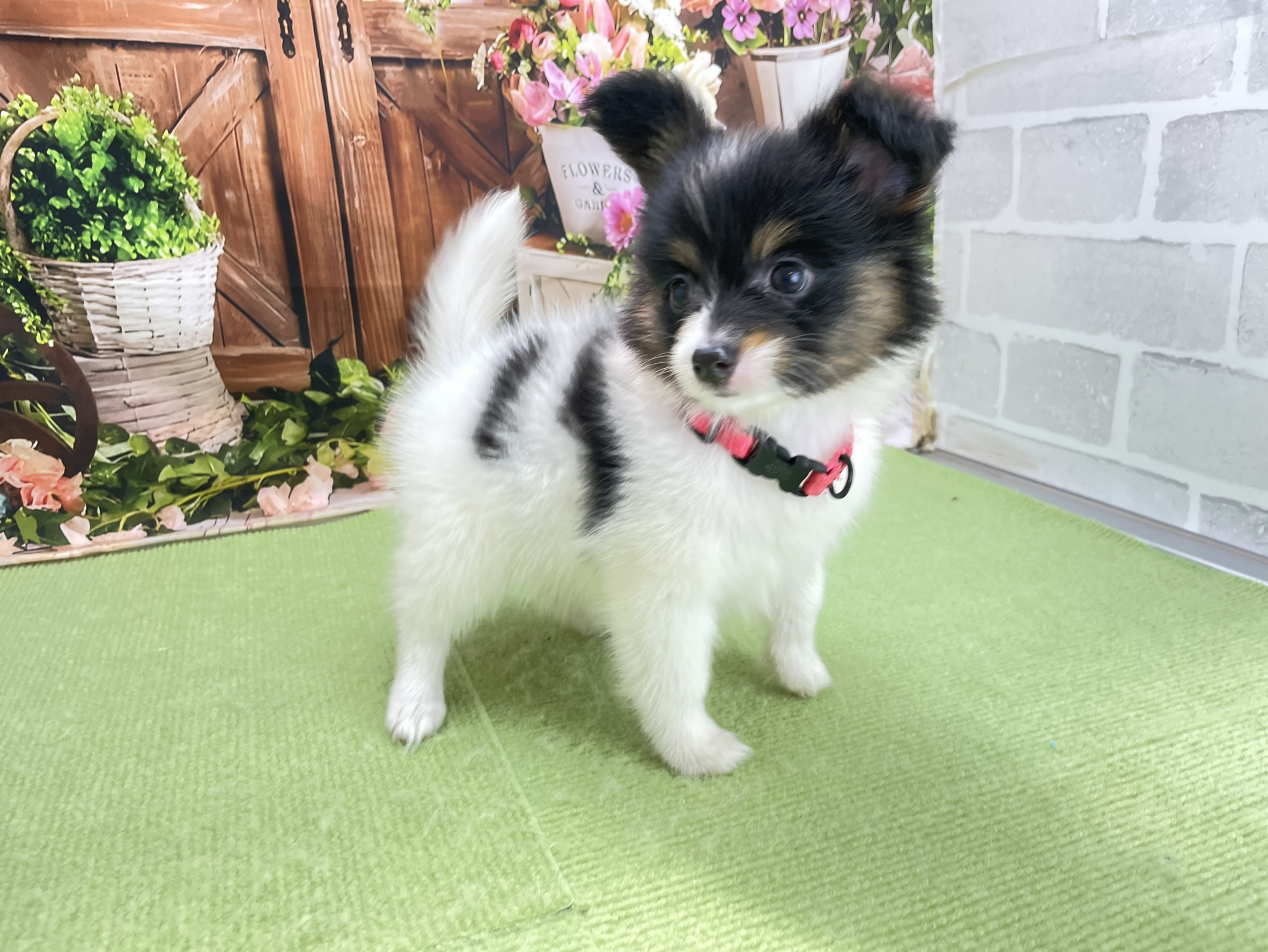赤ちゃん写真3-2