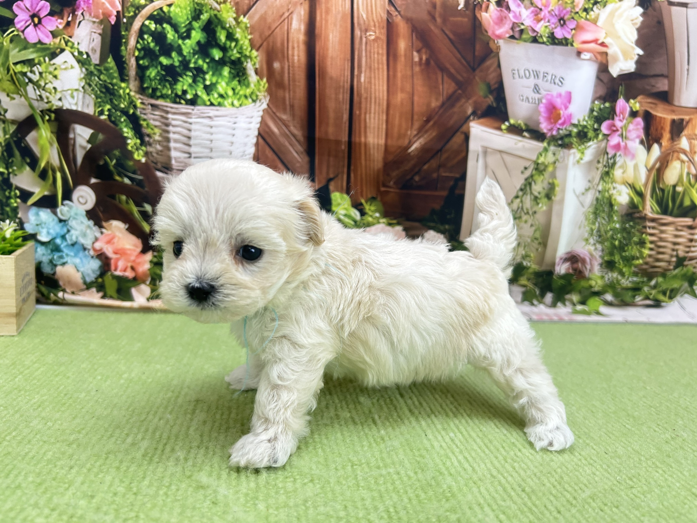 赤ちゃん写真2-2