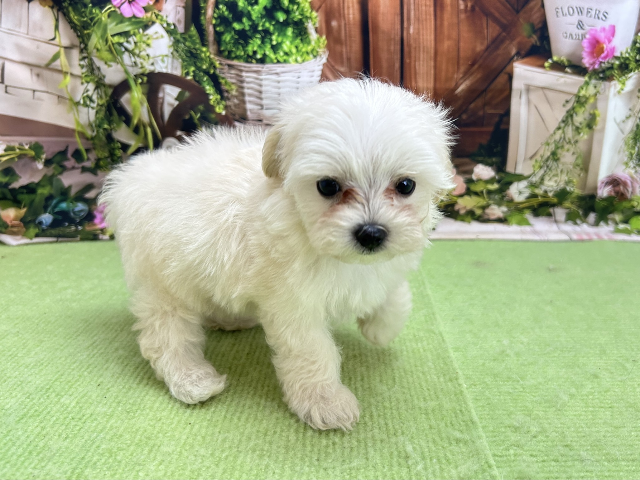 赤ちゃん写真3-2
