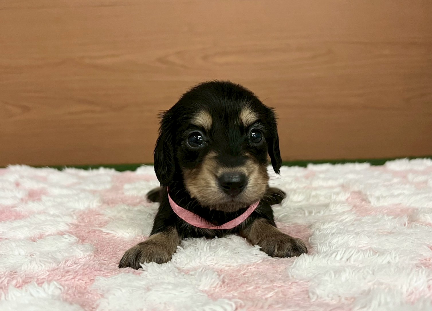 赤ちゃん写真2-1