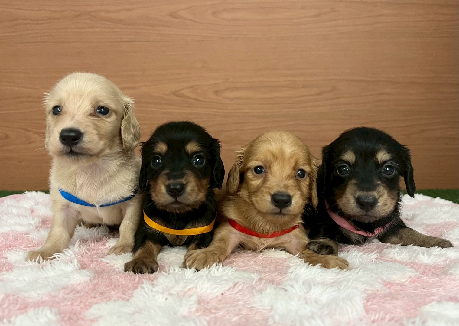 赤ちゃん写真2-3
