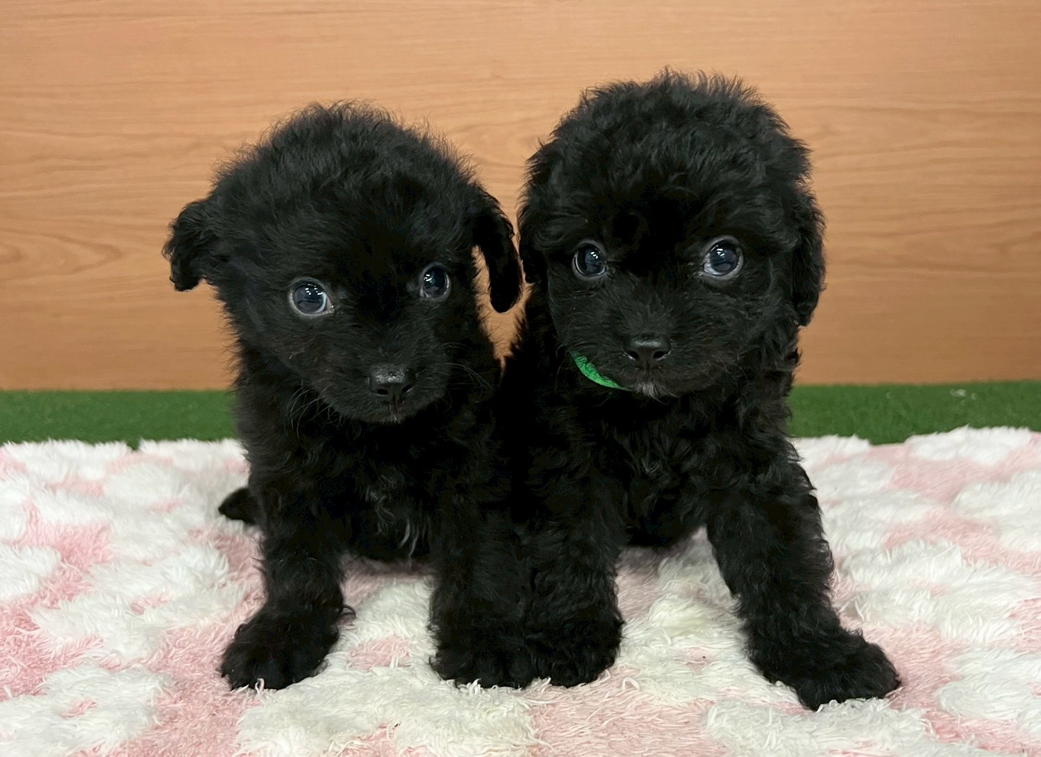 赤ちゃん写真3-3