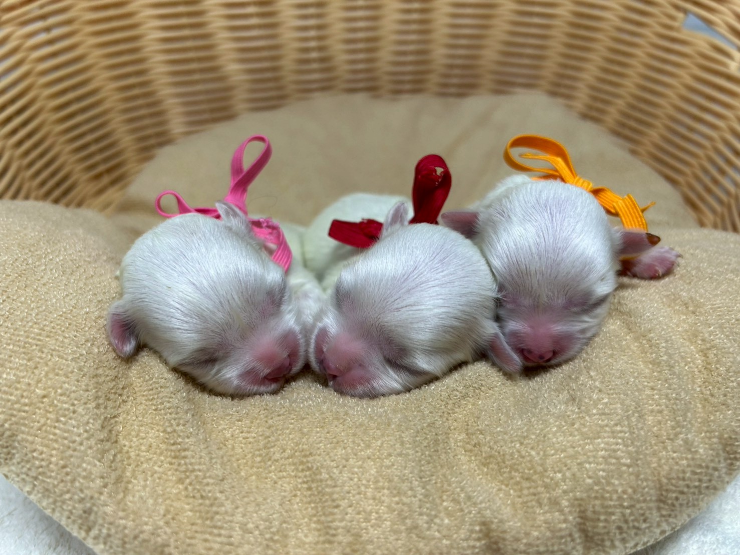 赤ちゃん写真1-3