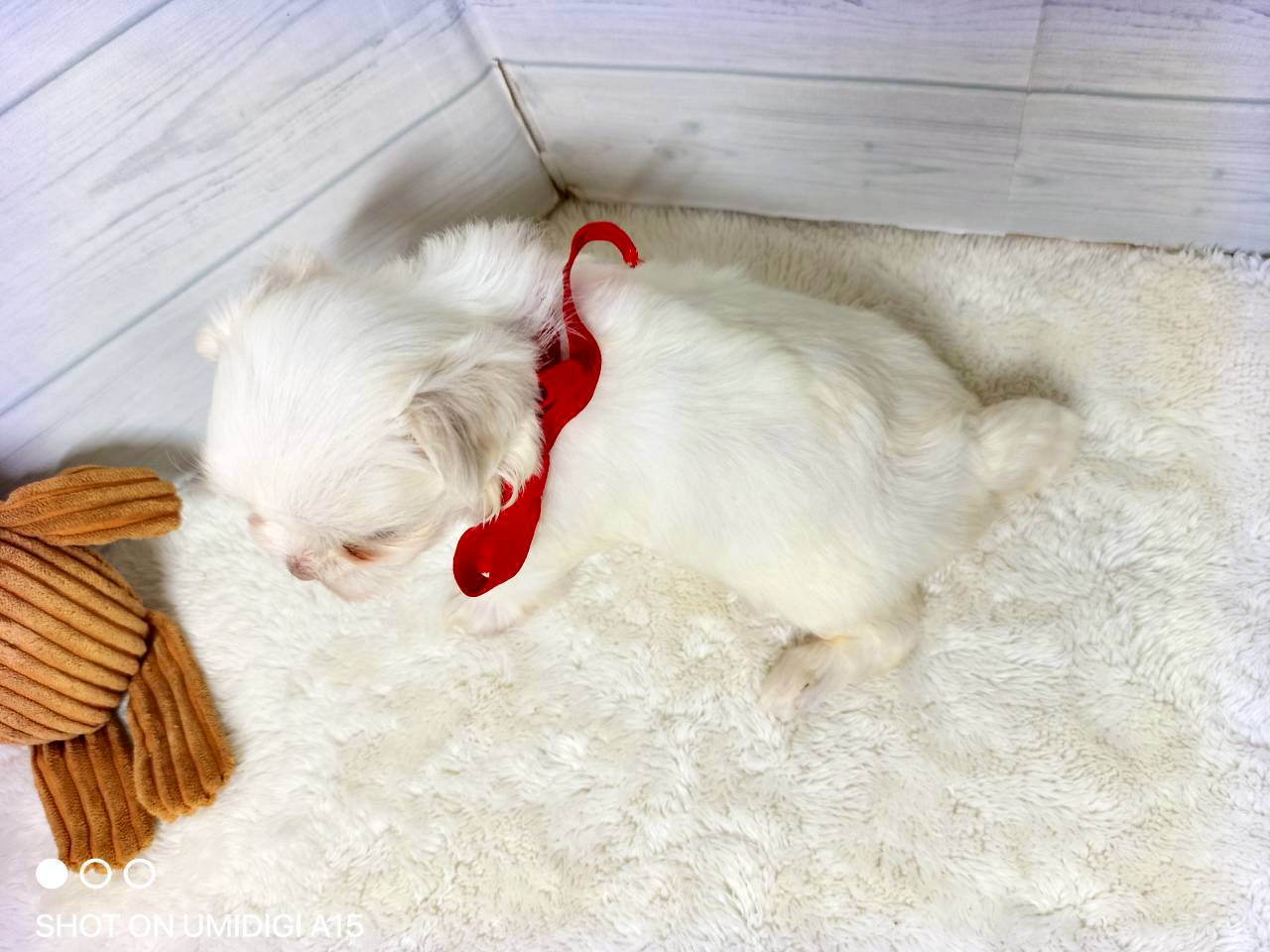 赤ちゃん写真2-3