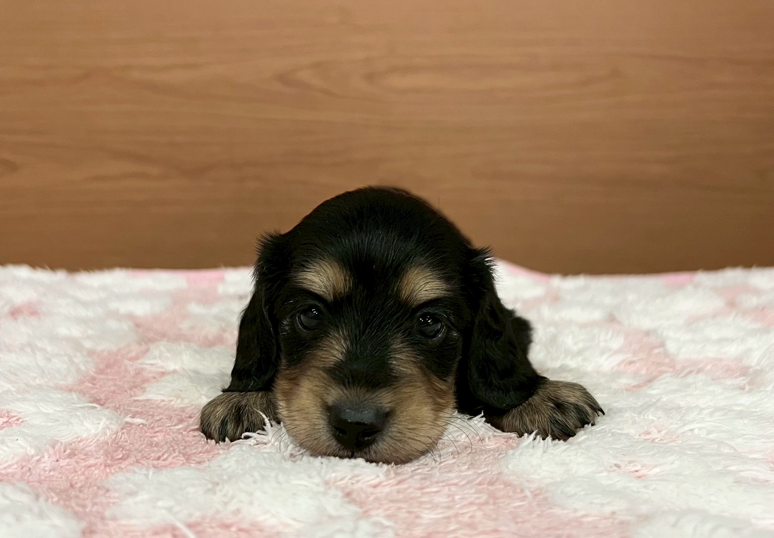 赤ちゃん写真2-1
