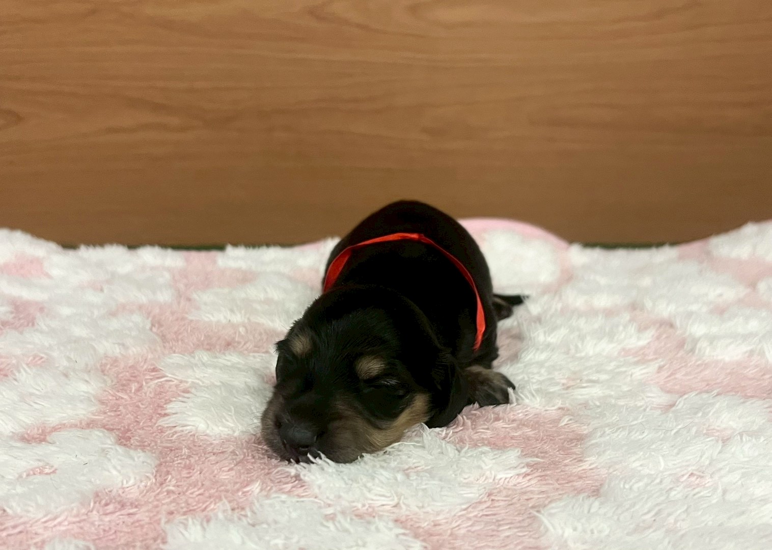 赤ちゃん写真1-1