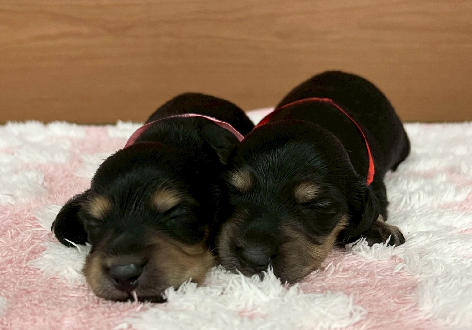 赤ちゃん写真1-3