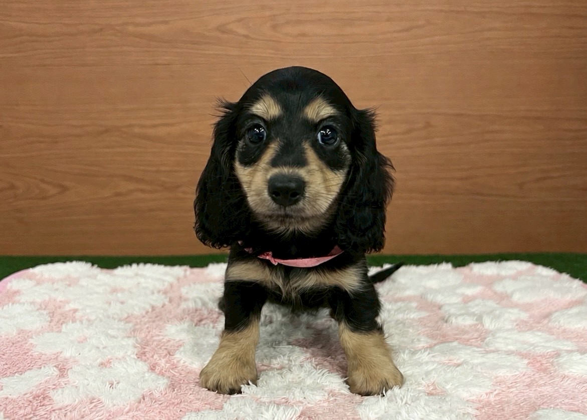 赤ちゃん写真3-1