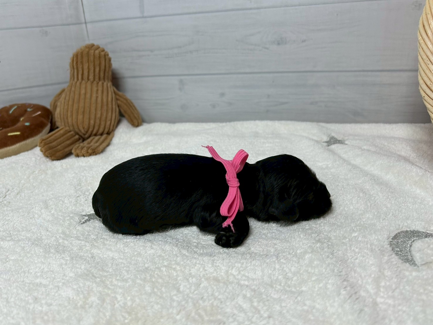 赤ちゃん写真1-2
