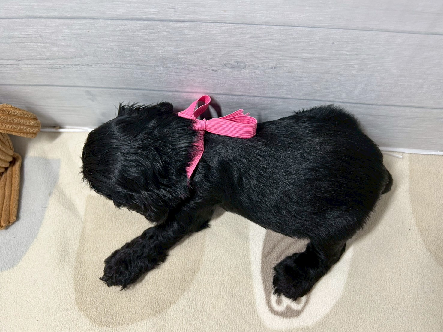 赤ちゃん写真2-3