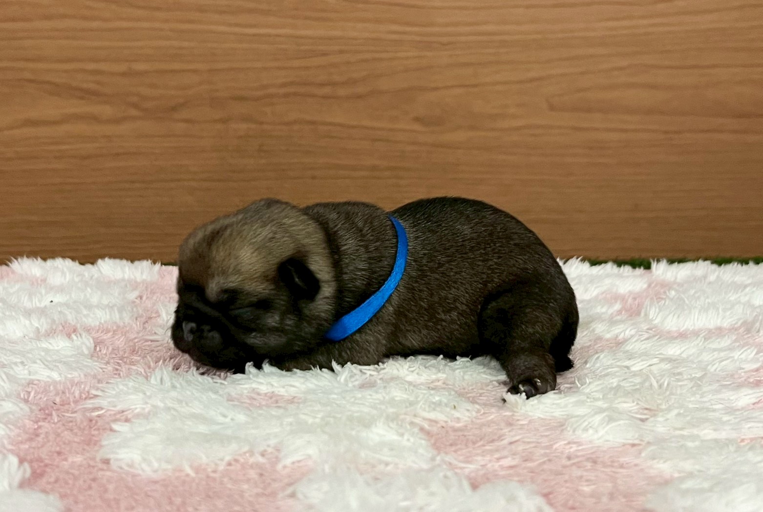 赤ちゃん写真1-2