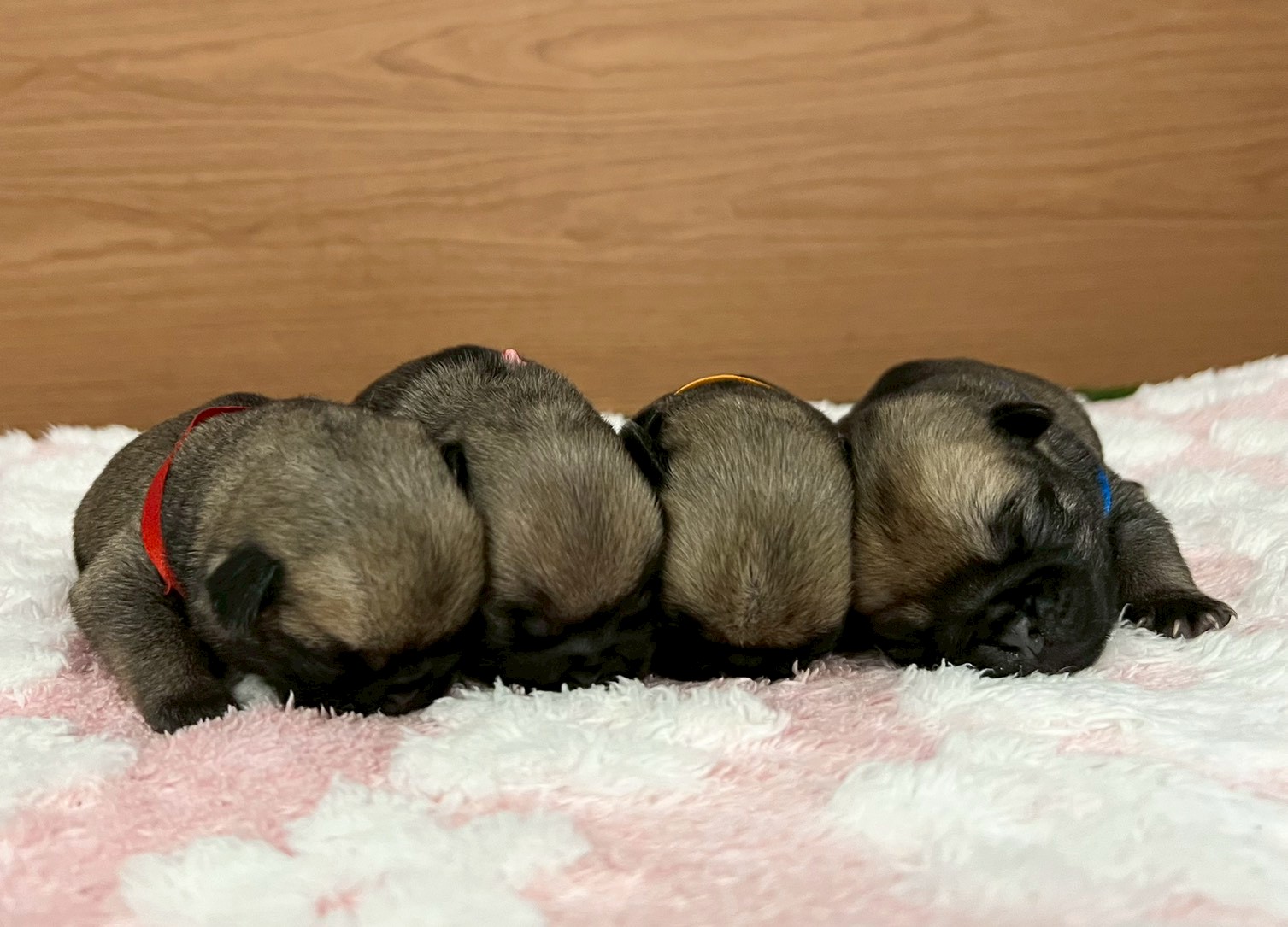 赤ちゃん写真1-3