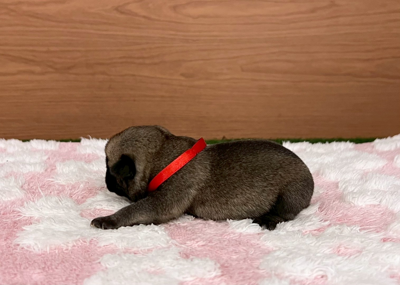 赤ちゃん写真1-2