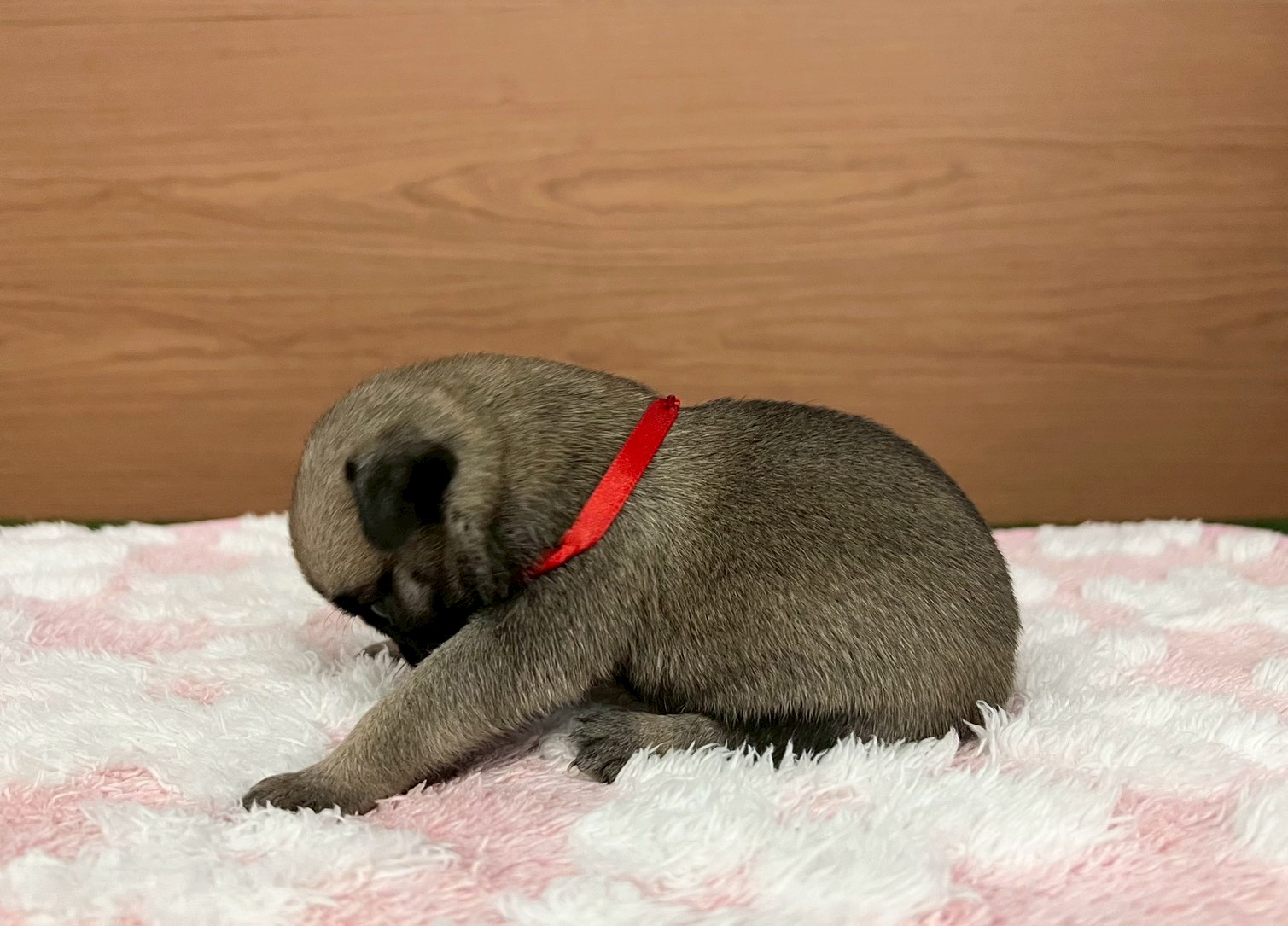 赤ちゃん写真2-2