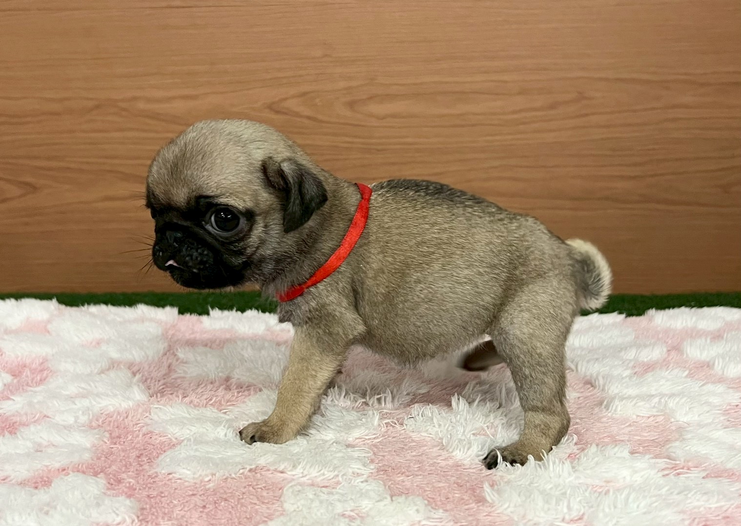 赤ちゃん写真3-2