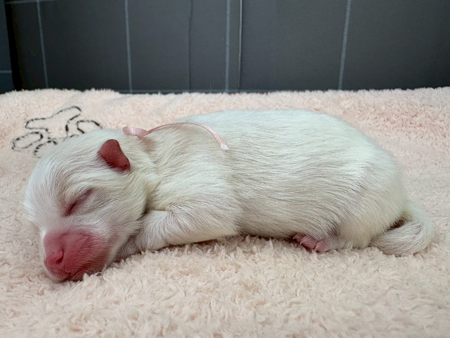 赤ちゃん写真1-2
