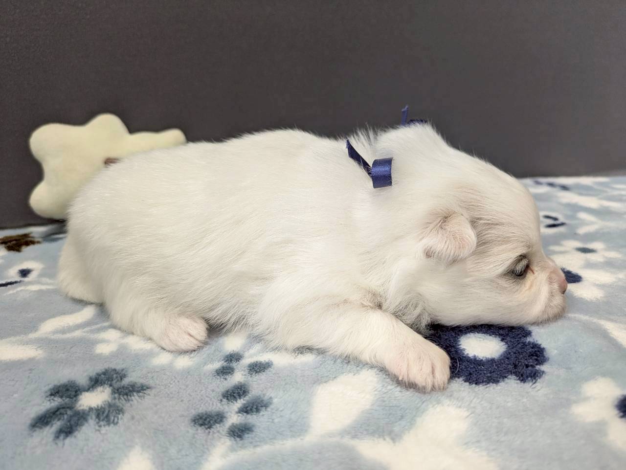 赤ちゃん写真2-2