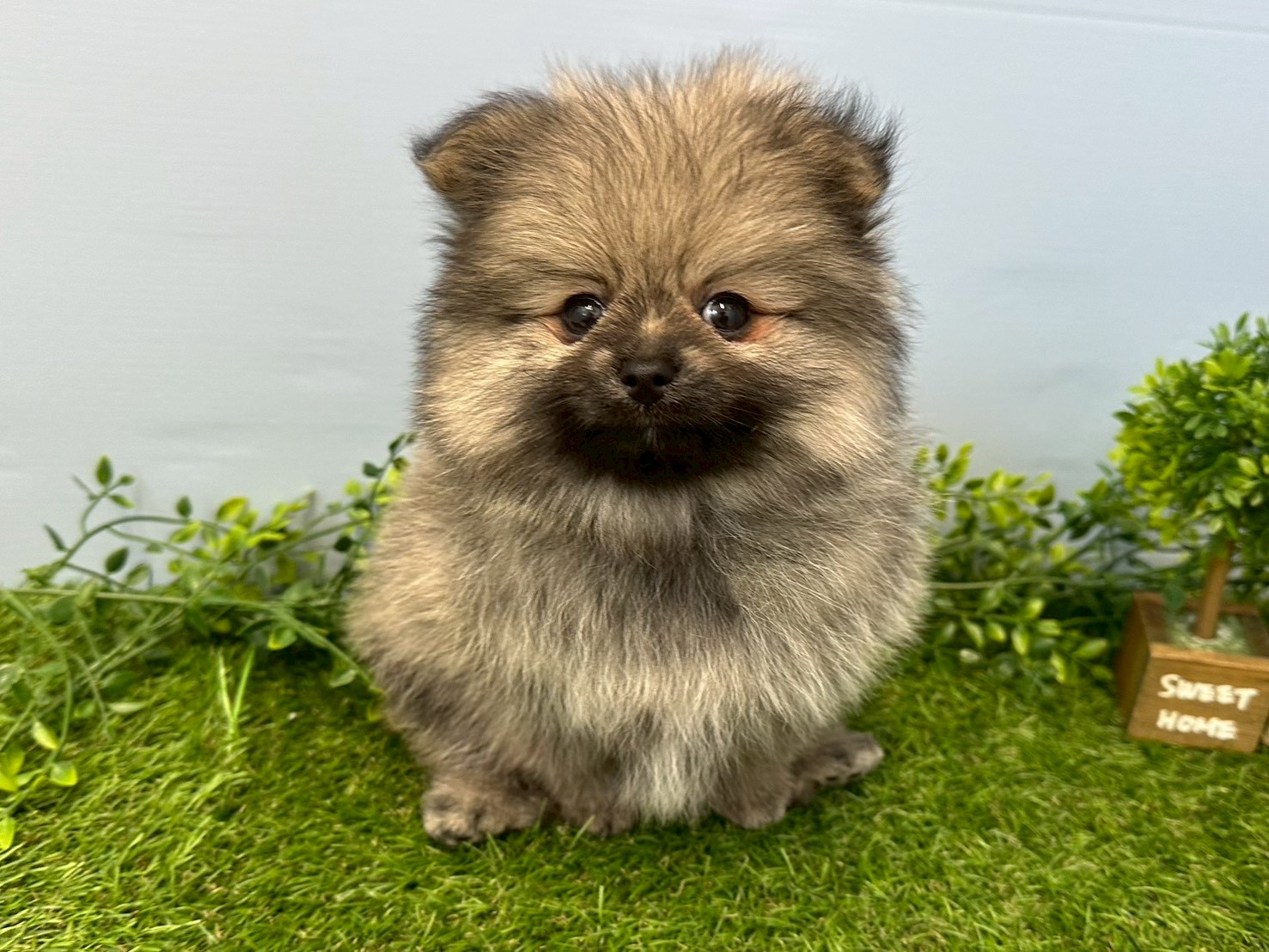 赤ちゃん写真3-1