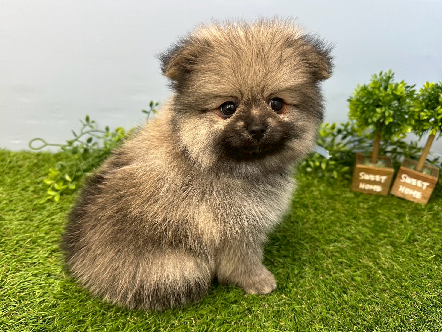 赤ちゃん写真3-2