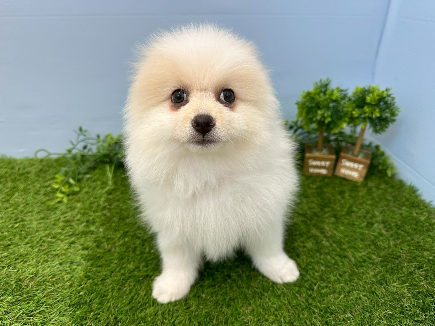 赤ちゃん写真3-1