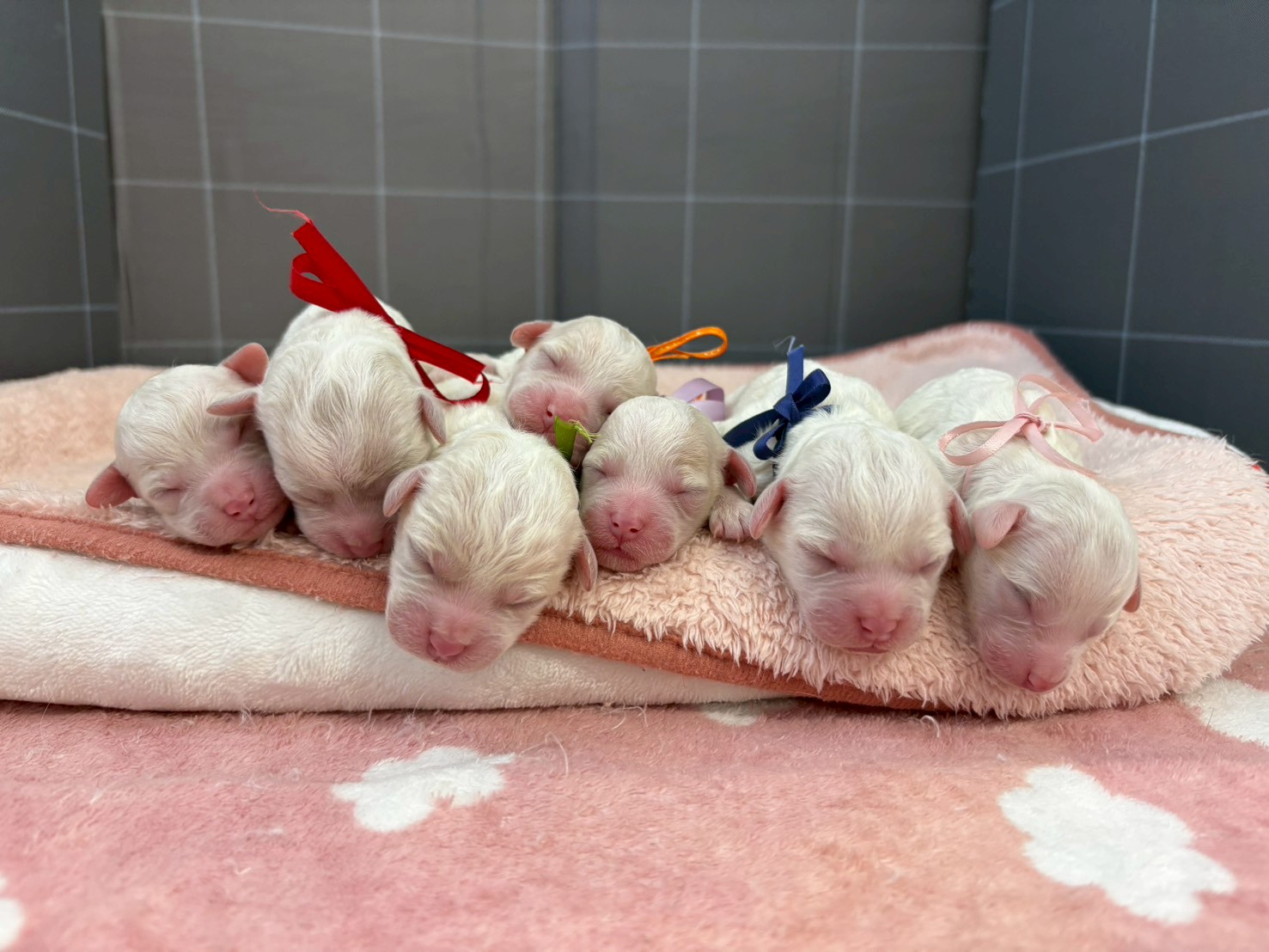 赤ちゃん写真1-3