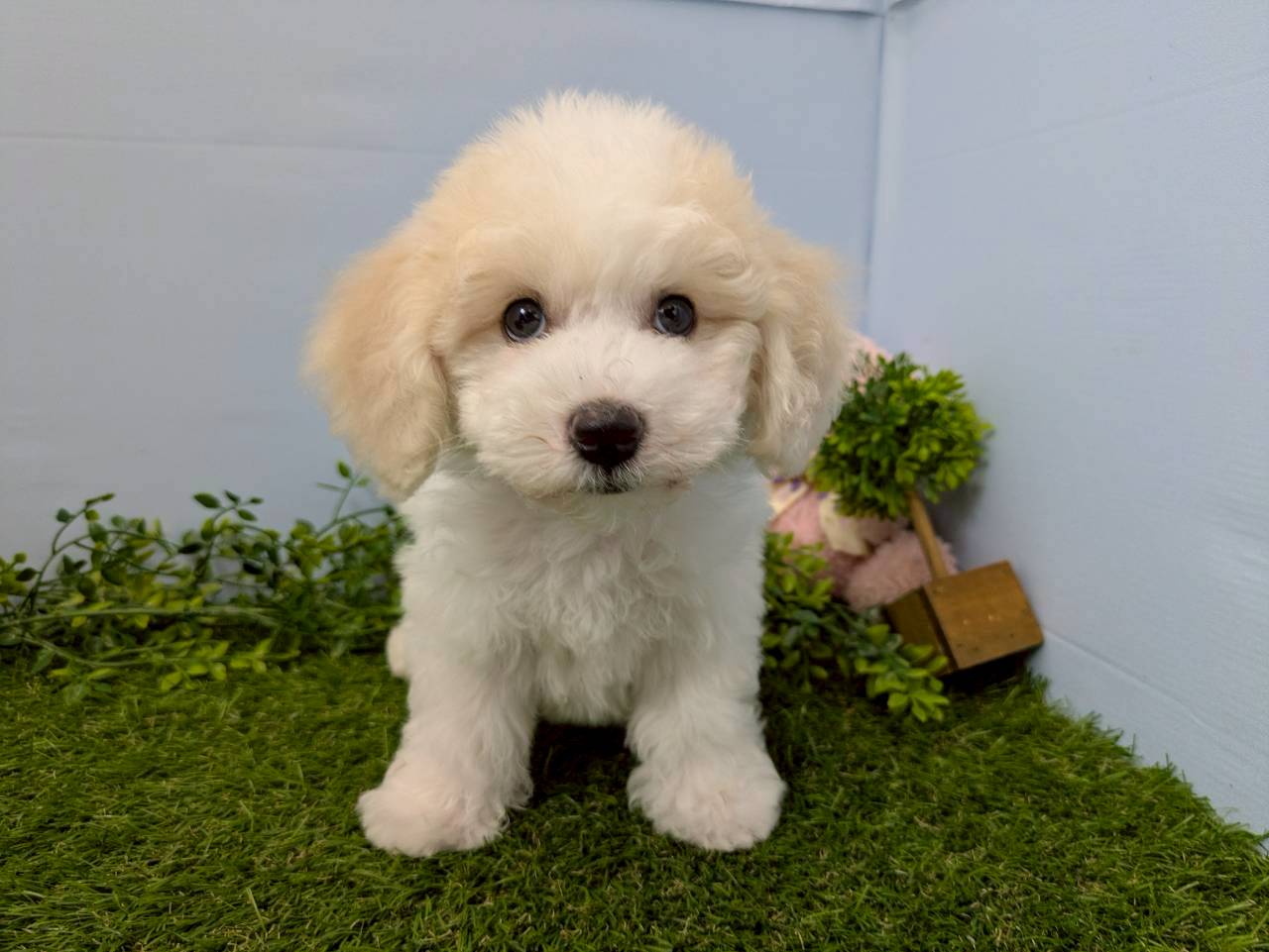 赤ちゃん写真3-1