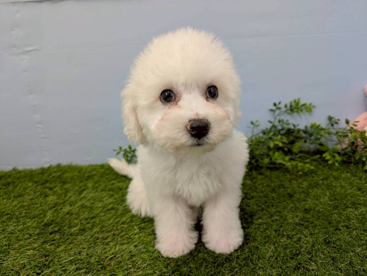 赤ちゃん写真3-1