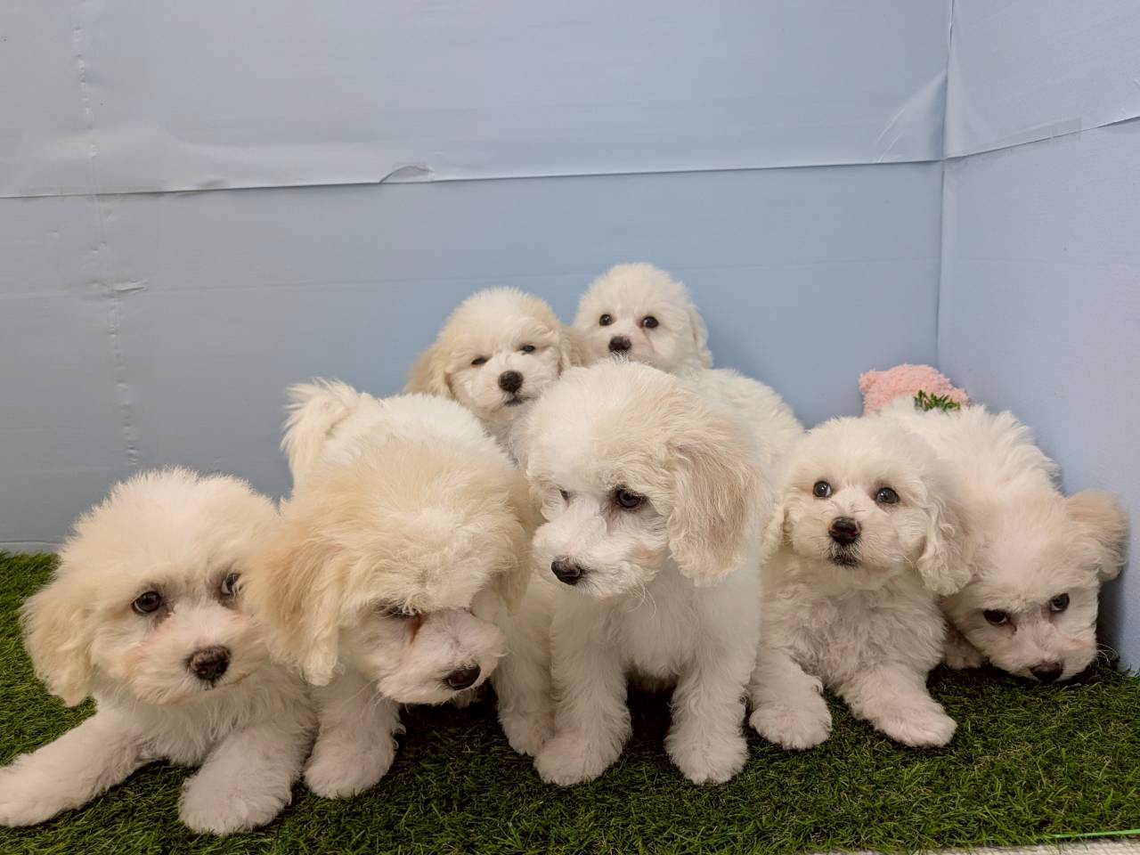 赤ちゃん写真3-3
